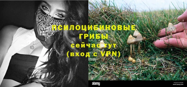 бошки Красноперекопск