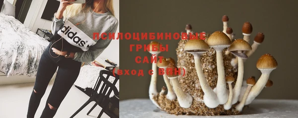 бошки Красноперекопск