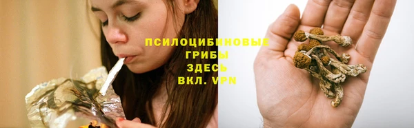 mdma Краснотурьинск