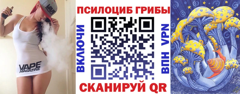 Купить  Можга  Галлюциногенные грибы Psilocybine cubensis 